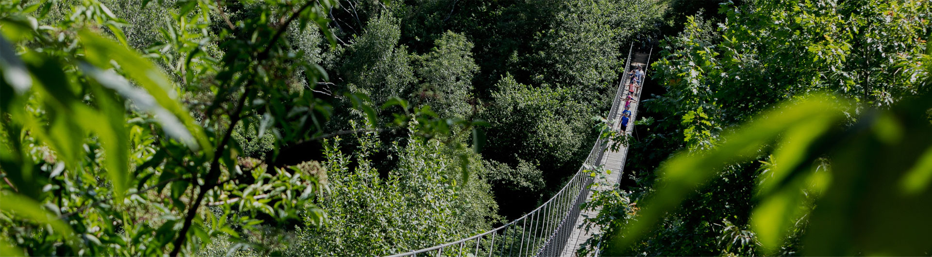 Parque de Aventura en Navarra y Resort Rural Irrisarri Land