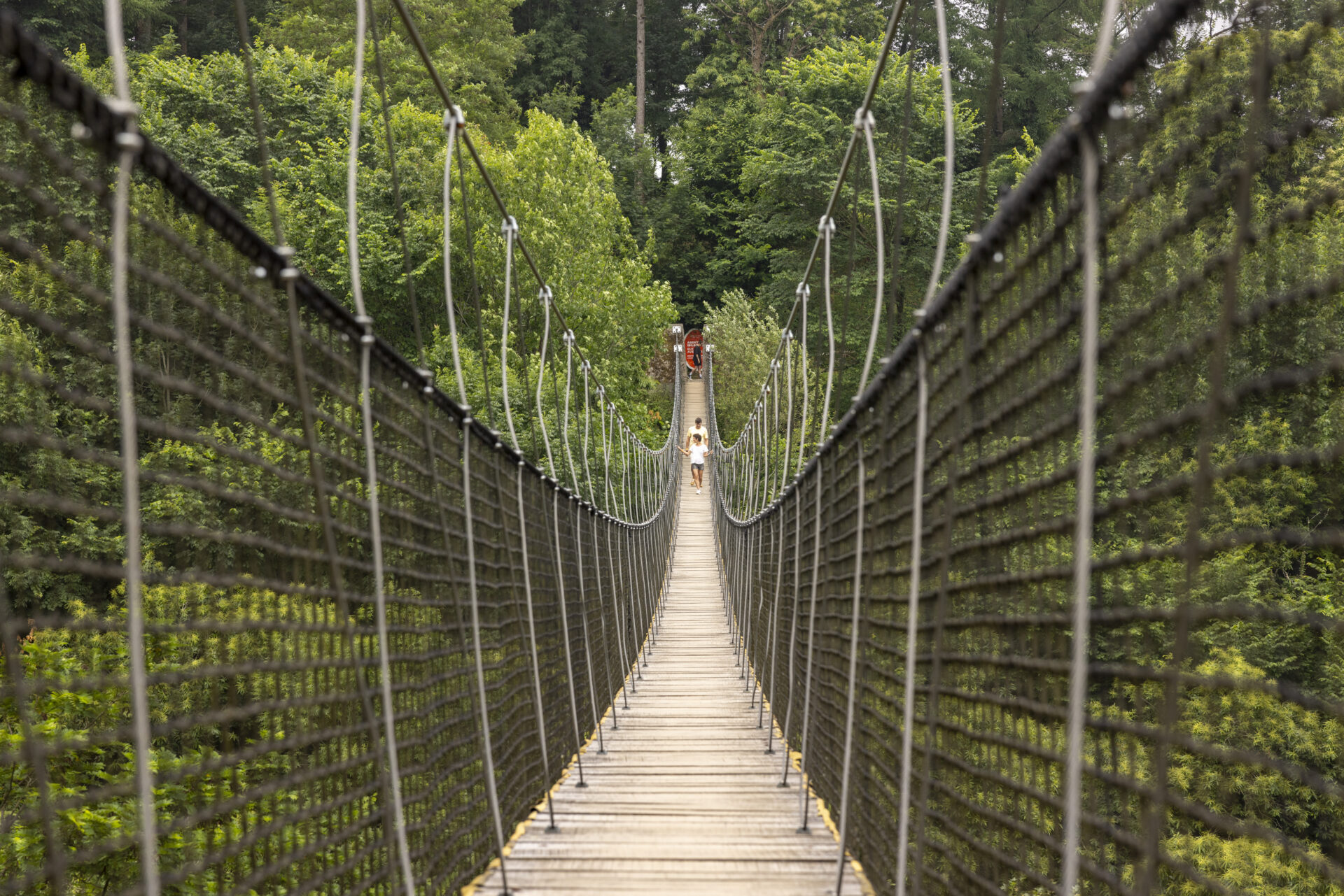 puente tibetano